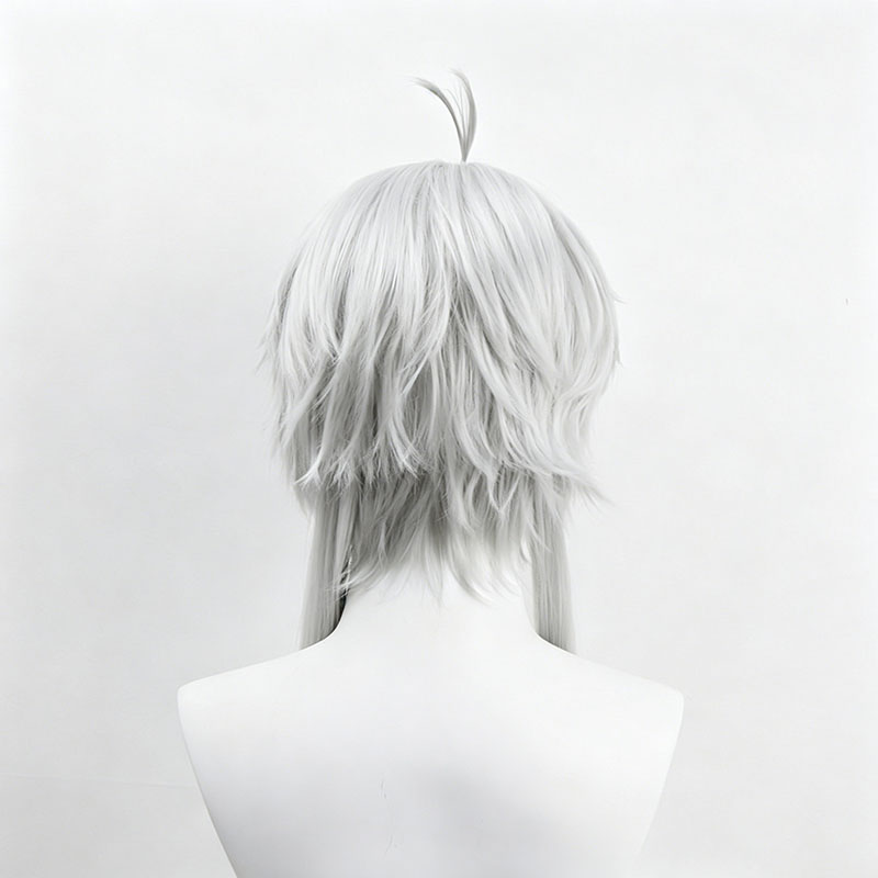 Anime Sylphiette Cosplay Wig G - Men Accessories Earrings 评论和价格
